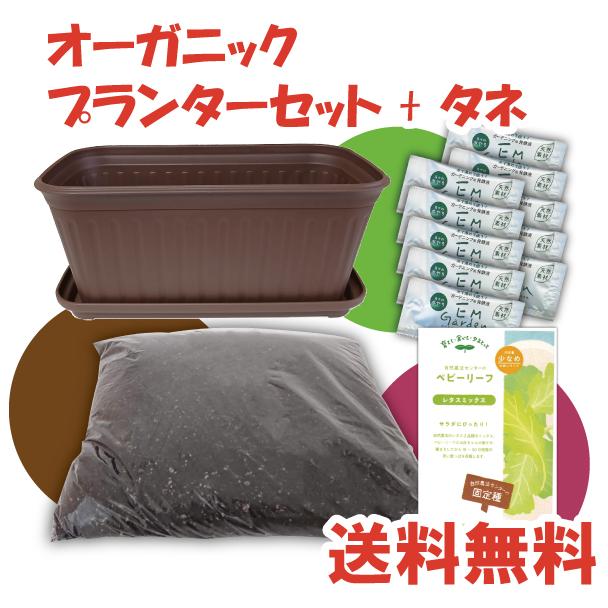 オーガニックプランターセット＆レタスミックス＆ EMgarden10ml×10枚付き 無農薬のタネ 有機培養土 プランターの土 無農薬レタス 有機種子 送料無料 | 