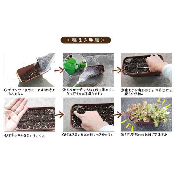 オーガニックプランターセット＆レタスミックス＆ EMgarden10ml×10枚付き 無農薬のタネ 有機培養土 プランターの土 無農薬レタス 有機種子 送料無料 |  | 09