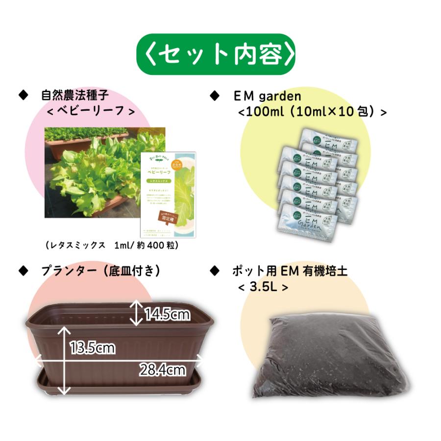 オーガニックプランターセット＆レタスミックス＆ EMgarden10ml×10枚付き 無農薬のタネ 有機培養土 プランターの土 無農薬レタス 有機種子 送料無料 |  | 02