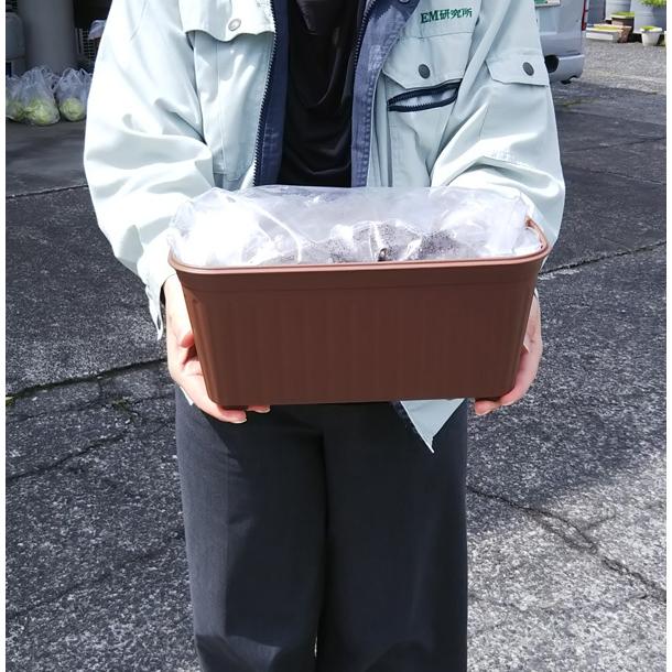 オーガニックプランターセット＆レタスミックス＆ EMgarden10ml×10枚付き 無農薬のタネ 有機培養土 プランターの土 無農薬レタス 有機種子 送料無料 |  | 03