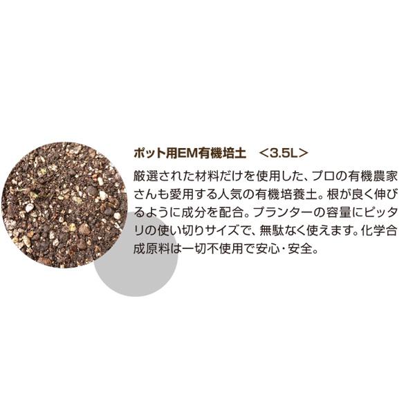 オーガニックプランターセット＆レタスミックス＆ EMgarden10ml×10枚付き 無農薬のタネ 有機培養土 プランターの土 無農薬レタス 有機種子 送料無料 |  | 04