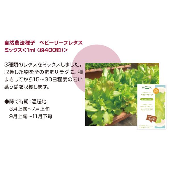 オーガニックプランターセット＆レタスミックス＆ EMgarden10ml×10枚付き 無農薬のタネ 有機培養土 プランターの土 無農薬レタス 有機種子 送料無料 |  | 06