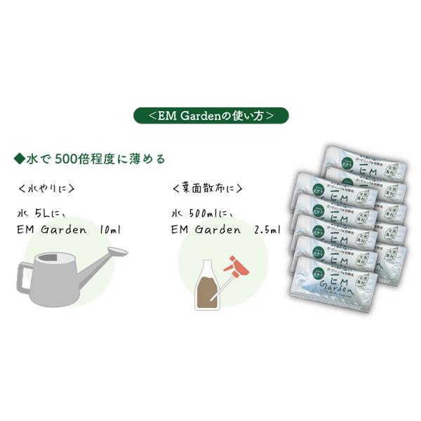 オーガニックプランターセット＆レタスミックス＆ EMgarden10ml×10枚付き 無農薬のタネ 有機培養土 プランターの土 無農薬レタス 有機種子 送料無料 |  | 07