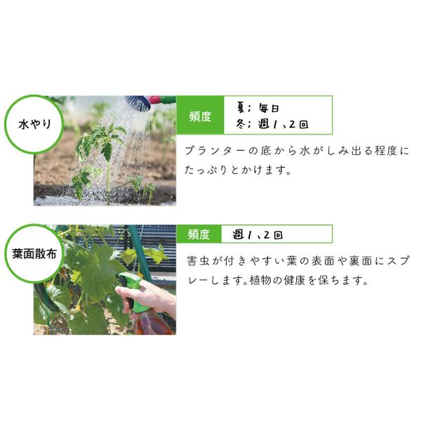 オーガニックプランターセット＆レタスミックス＆ EMgarden10ml×10枚付き 無農薬のタネ 有機培養土 プランターの土 無農薬レタス 有機種子 送料無料 |  | 08