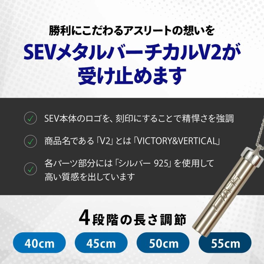 SEV sevネックレス メタルバーチカルV2 ネックレス セブ セブ SEV sevネックレス メタルバーチカルV2 ネックレス セブ セブ