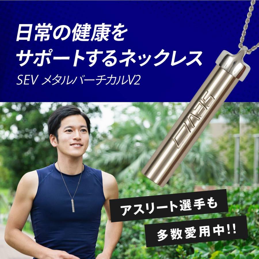 SEV sevネックレス メタルバーチカルV2 ネックレス セブ セブ SEV sevネックレス メタルバーチカルV2 ネックレス セブ セブ