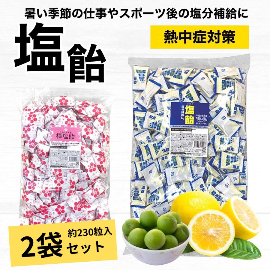 飴 2袋セット 塩飴 個包装 2kg 大容量 塩あめ キャンディ 熱中症対策 梅味 レモン味 ソルトキャンディー お菓子 業務用 お徳用 栄光堂ファクトリー の商品画像