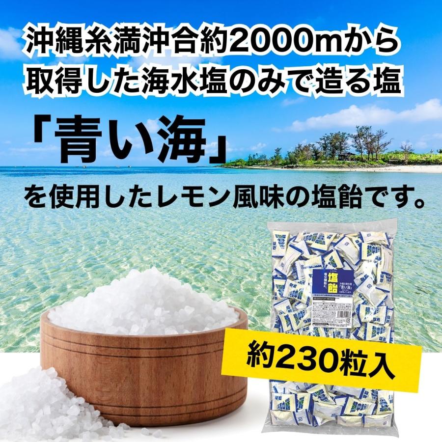 栄光堂 飴 塩飴 個包装 1kg 大容量 塩あめ キャンディ 熱中症対策 梅味