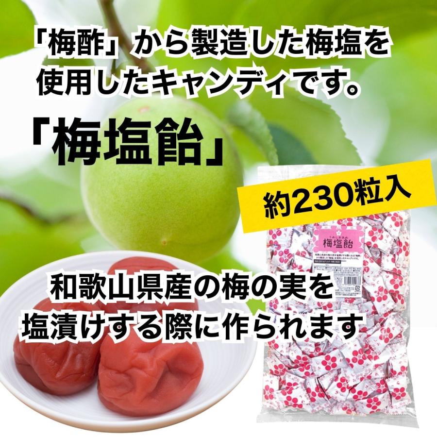 栄光堂 飴 塩飴 個包装 1kg 大容量 塩あめ キャンディ 熱中症対策 梅味