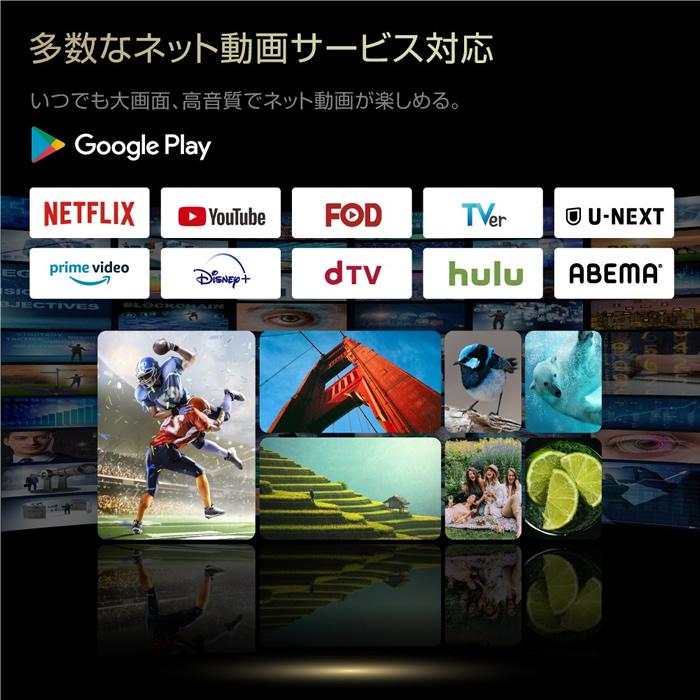 WIS（ウィズ） WIS ASTEX チューナーレステレビ 32インチgoogle