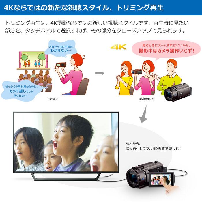 SONY（ソニー） デジタル4Kビデオカメラレコーダー 4Kハンディカム FDR