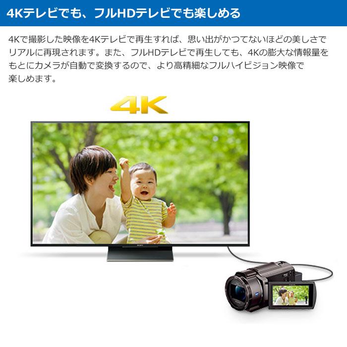 SONY（ソニー） デジタル4Kビデオカメラレコーダー 4Kハンディカム FDR