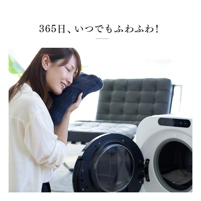 エスティロ 3kg 小型 衣類乾燥機 PRO ミニ乾燥機 ILD-321UWB-JP