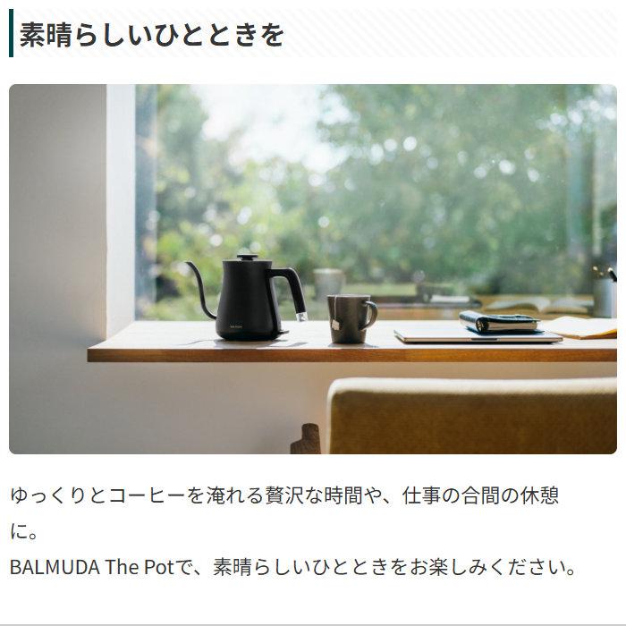 BALMUDA（バルミューダ） 電気ケトル 550ml BALMUDA The Pot ザ