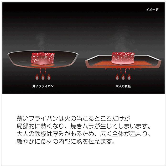 大人の鉄板 オークス フライパン 26cm 蓋付き OTS8102 : 家電と