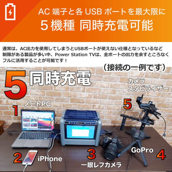 ダイニチ電子 10インチテレビ搭載ポータブル電源 パワーステーションTV