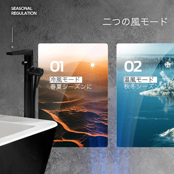 BodyDryer Plus ボディードライヤー プラス TBD01 冷風 温風