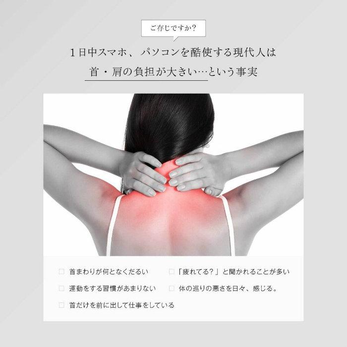 WAVEWAVE EMS POCKET HEAT NECK II 温熱 ポケットヒートネック2