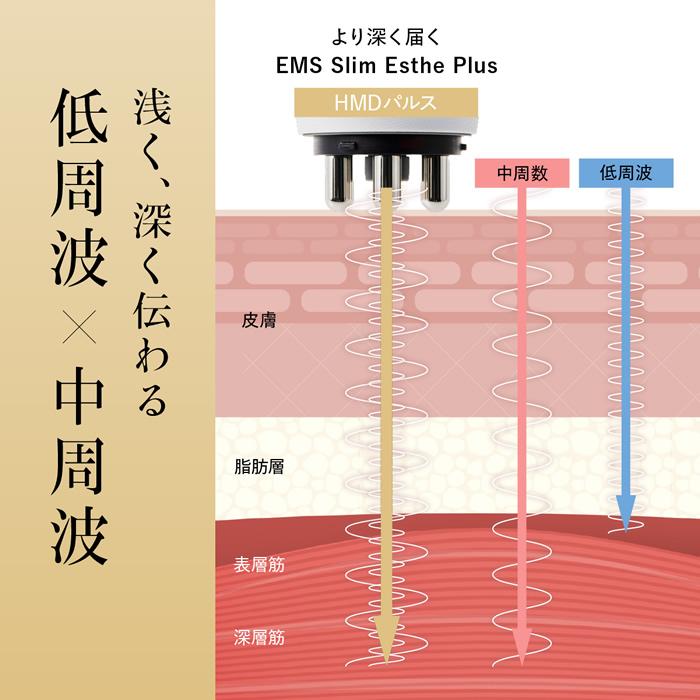 WAVEWAVE EMS美容機器 EMS Slim Esthe Plus WH52-01の画像