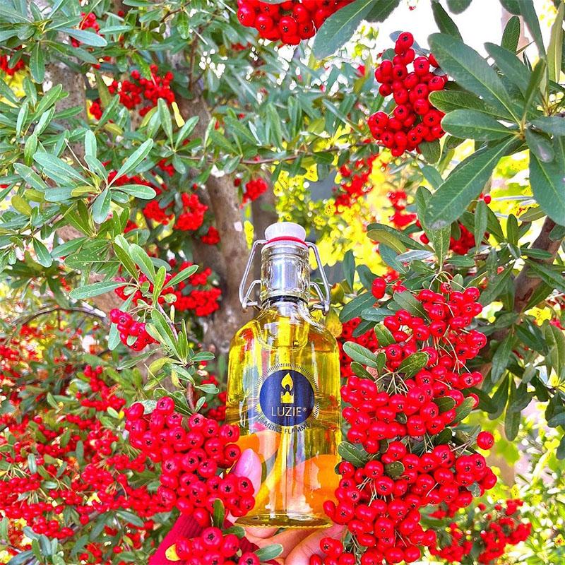 Freesia オイルランタン クラシックデザイン Freesia オイルランタン クラシックデザイン LUZIE オイルランタン