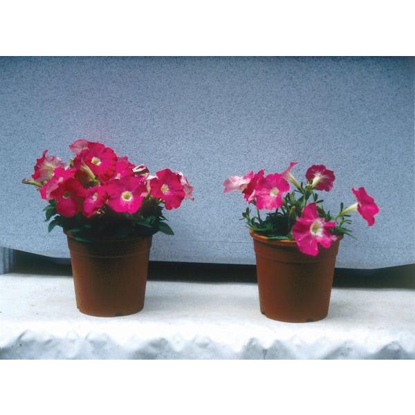 家庭用園芸専用 いきいき村の 花屋さん 肥料 鉢植 果樹 菜園 無臭 お花 植木鉢 お庭 ベランダ 果菜 開花 日本製 9010 いいもの見つけた 通販 Yahoo ショッピング