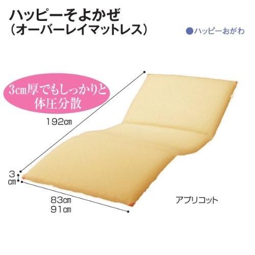 床ずれ防止マットレス ハッピーそよかぜ 幅91cm 9125 健康 介護 医療