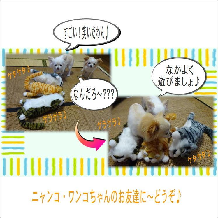 笑い転げるにゃんこ 大爆笑 にゃんこ おもちゃ ペット ぬいぐるみ ワンコ かわいい 爆笑 プレゼント ギフト 癒し プレゼント San002 いいもの見つけた 通販 Yahoo ショッピング