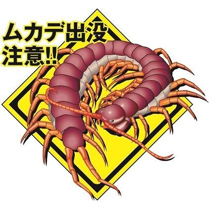 天然成分忌避剤 ムカデ バイバイ ヒノキ 害虫 駆除 忌避 植物由来 日本製 メール便 ポスト投函 いいもの見つけた 通販 Yahoo ショッピング