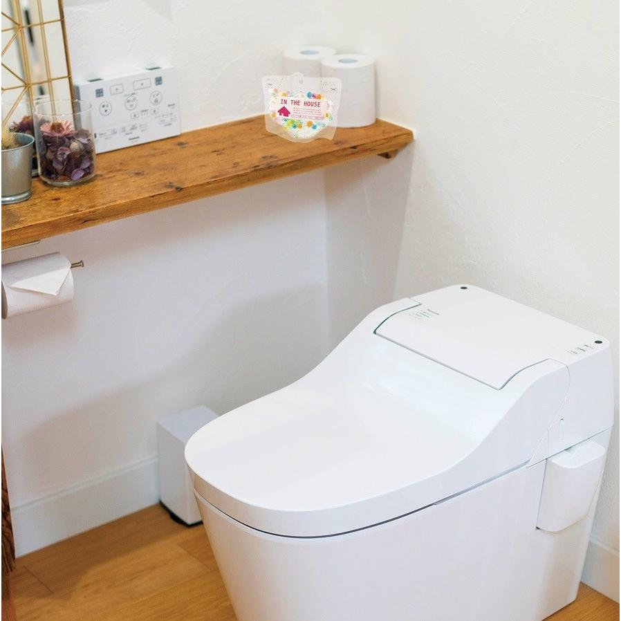 ちょこっと置いて吊るして 防カビ・消臭 プレミアム 2個組 トイレ 靴箱 浴室 洗面所 吊るして使える消臭・防カビ剤。※メール便(ポスト投函) 送料無料 |  | 01