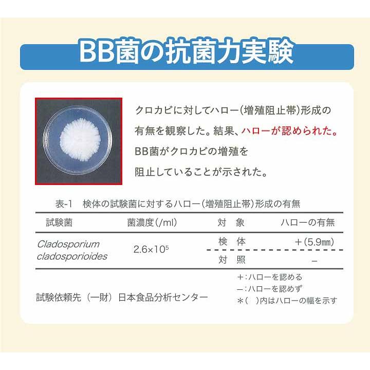 ビッグバイオ エアコン用 防カビ剤 with BIO 4個組 エアコン カビ カビ臭 カビ予防剤 BB菌 納豆菌 微生物 殺菌 抗菌作用 メール便配送(ポスト投函) |  | 03