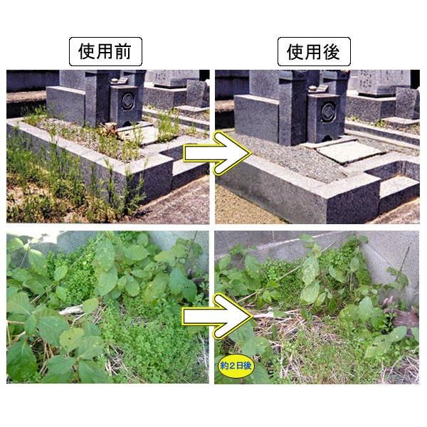 除草剤 5個組 ウィード ブライト 1kg 安心 日本製 草 枯れ お庭 お墓 駐車場 雑草 除草剤 非農耕地専用 粉末_3