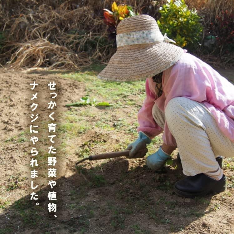 ナメクジ バイバイ なめくじ 忌避剤 ナメクジ忌避剤 カタツムリ 忌避力 マイマイ 園芸用品 なめくじ駆除 ナメクジ退治 食害 害虫予防 農薬 粒状 日本製 Namekuji いいもの見つけた 通販 Yahoo ショッピング