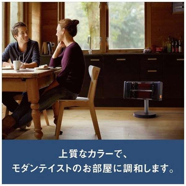 ダイキン（DAIKIN） セラムヒートERFT116AS-W マットホワイト