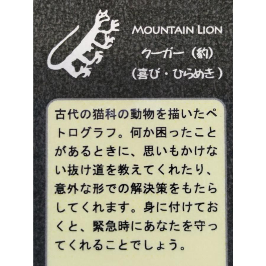公式】【公式】クーガー 意味ありネイティブ系デザイン クリスタル 丸