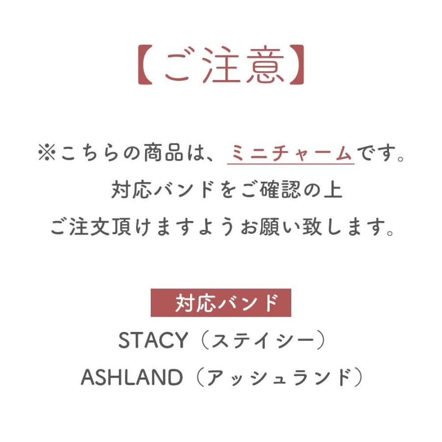 エンパイア チャーム ミニ アクセサリー for STACY アップルウォッチ 