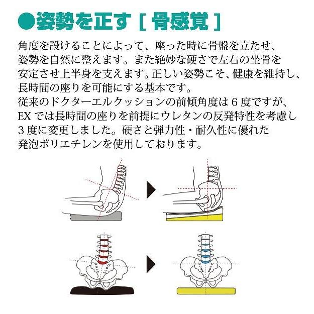 ドクターエルEX 矯正グッズ オフィス クッション |  | 04