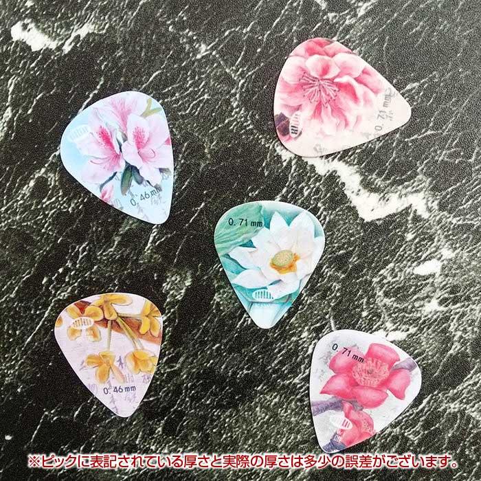 ギターピック ピック 5枚セット ピック アコギ ウクレレ 花柄 アニマル ゼブラ ピーコック ジラフ アソート  樹脂 |  | 08