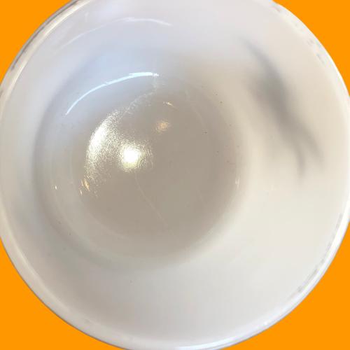 FEDERAL CanadaGoose Mallard［FE-02］フェデラル カナダグース/マラード | FEDERAL | 05