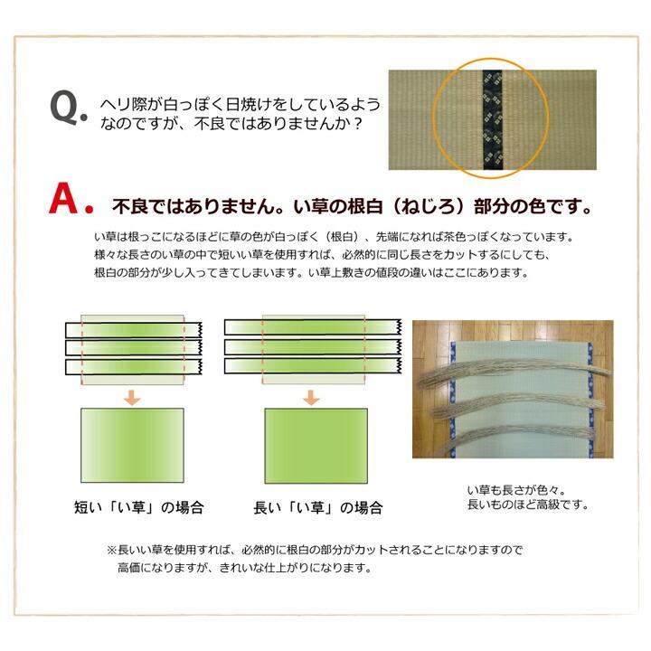 ござ カーペット ラグ い草 夏用 マット 畳 双目織 草津 江戸間6畳(約261×352cm） 純国産｜ems18｜15