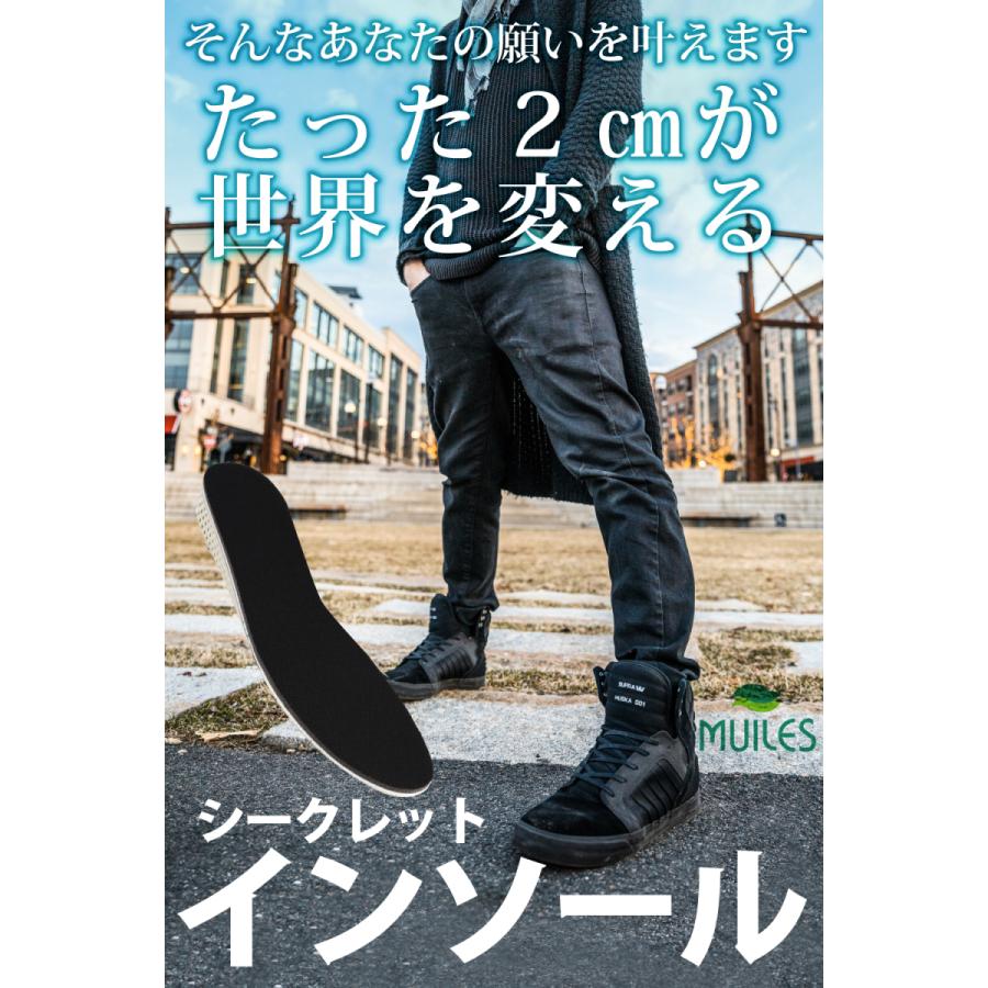 インソール シークレット 身長アップ シークレットインソール 中敷き 22.5cm〜27.0cm 超軽量 メンズ レディース 選べる高さサイズ【2cm/3cm/4cm】 |  | 01