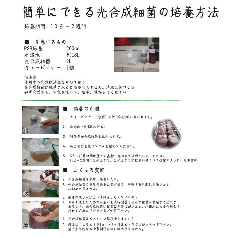 日本で発売 PSB光合成細菌10L培養SET 関連:めだか金魚クロレラ好相性K