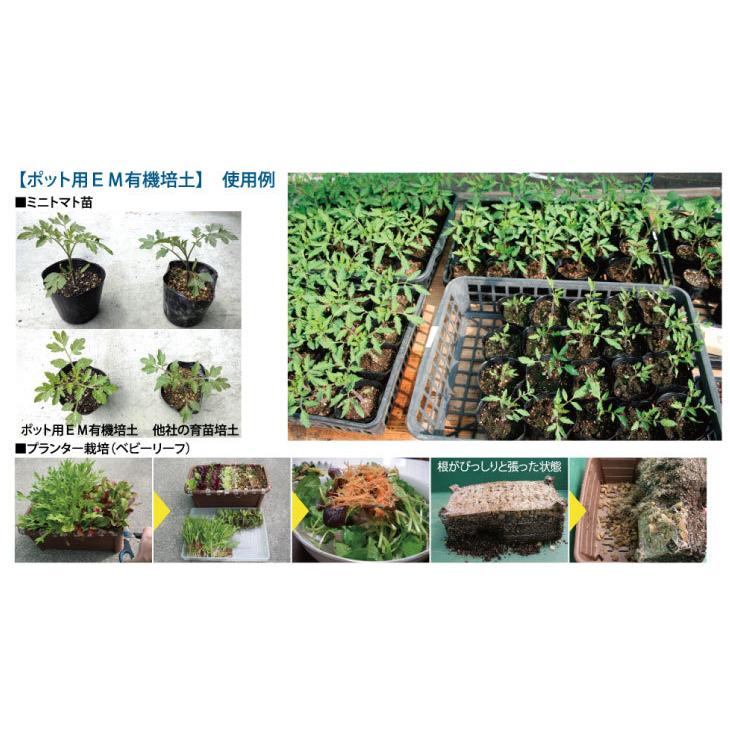 ポット用EM有機培土 50L 1袋 有機JAS対応 メーカー直送品 キャンセル不可 em EM EM生活 イーエムワン 微生物 栽培 野菜 水質 土作り 活性液 ガーデニング 菜園 |  | 02