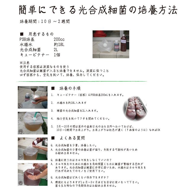PSB培基 200ml 20L培養分 光合成細菌培養資材 PSB PNSB 培養 光合成