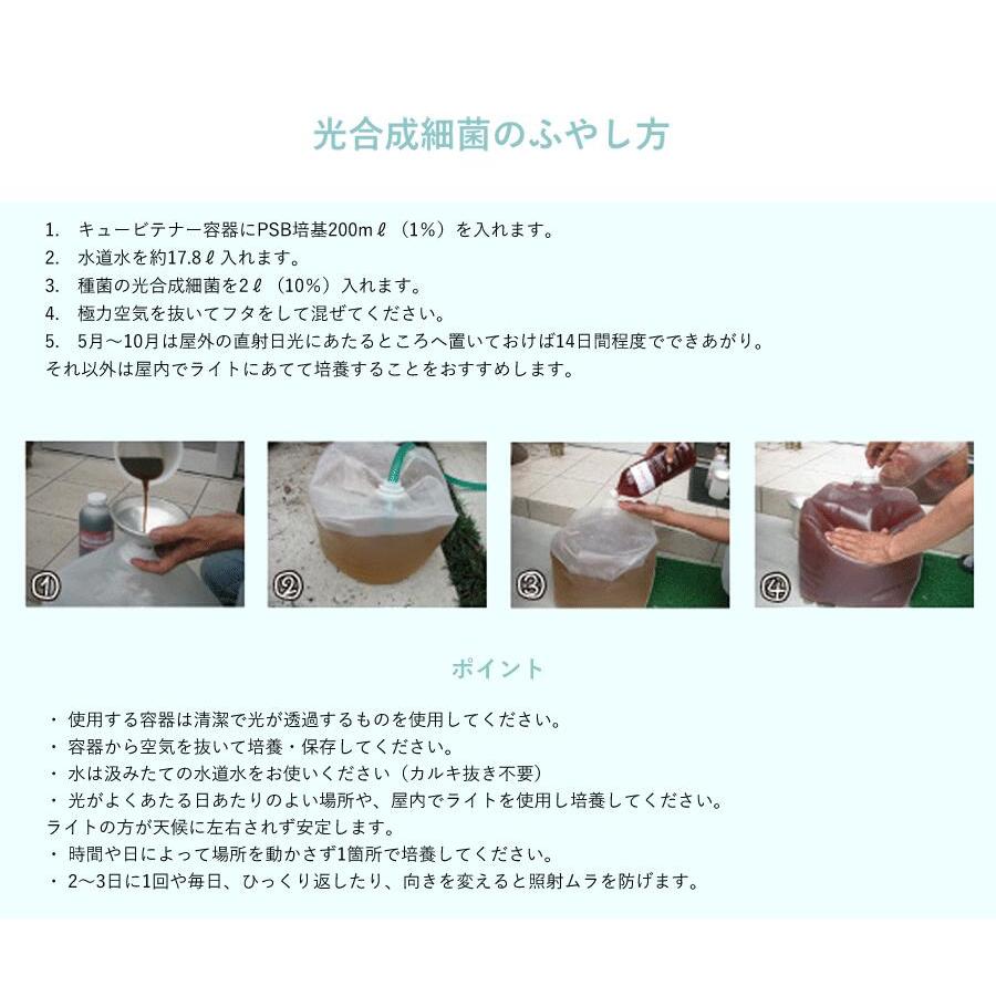 光合成細菌10L 培養セット沖縄、発送不可 PSB PNSB 培養 光合成細菌 培養資材 培養 バクテリア 基材 培地 培養基 農業 園芸 ガーデンニグ 畜産 牛 豚 鳥 鶏 |  | 10