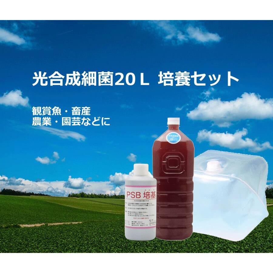 光合成細菌10L 培養セット沖縄、発送不可 PSB PNSB 培養 光合成細菌 培養資材 培養 バクテリア 基材 培地 培養基 農業 園芸 ガーデンニグ 畜産 牛 豚 鳥 鶏 |  | 01