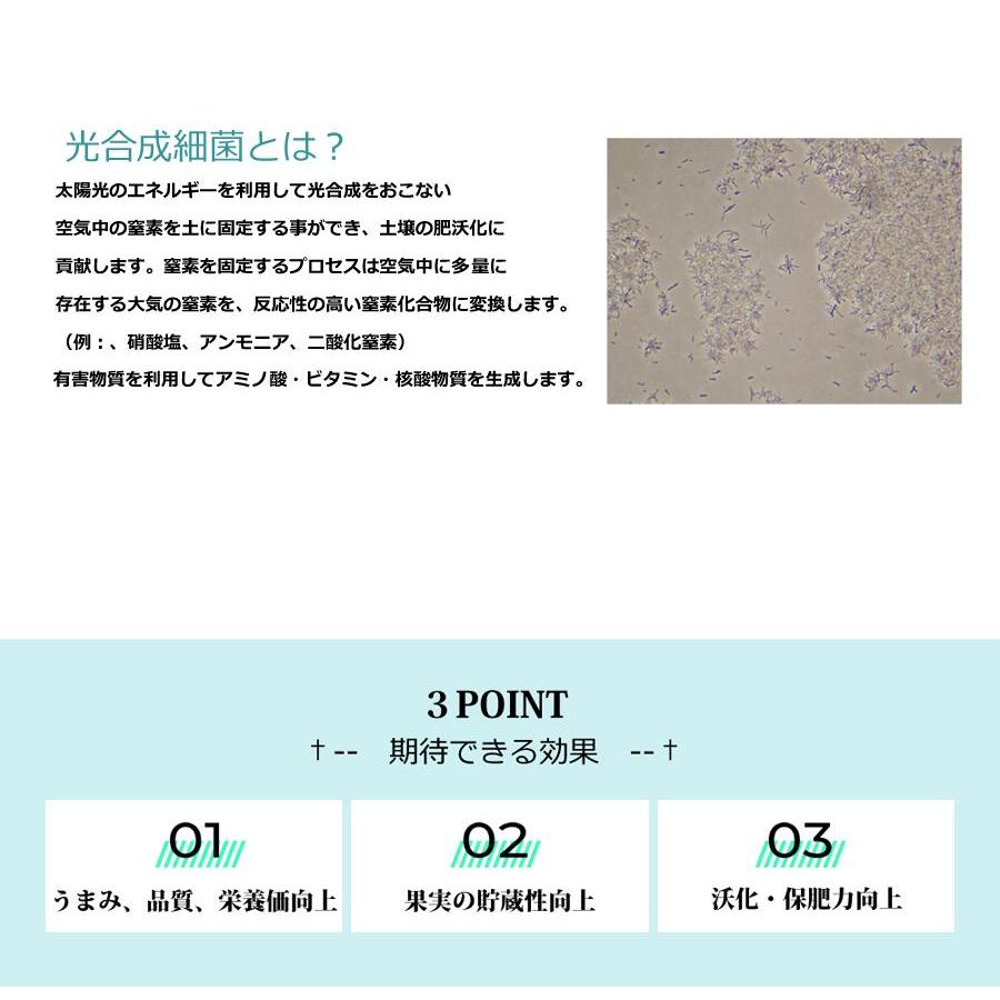 光合成細菌10L 培養セット沖縄、発送不可 PSB PNSB 培養 光合成細菌 培養資材 培養 バクテリア 基材 培地 培養基 農業 園芸 ガーデンニグ 畜産 牛 豚 鳥 鶏 |  | 02