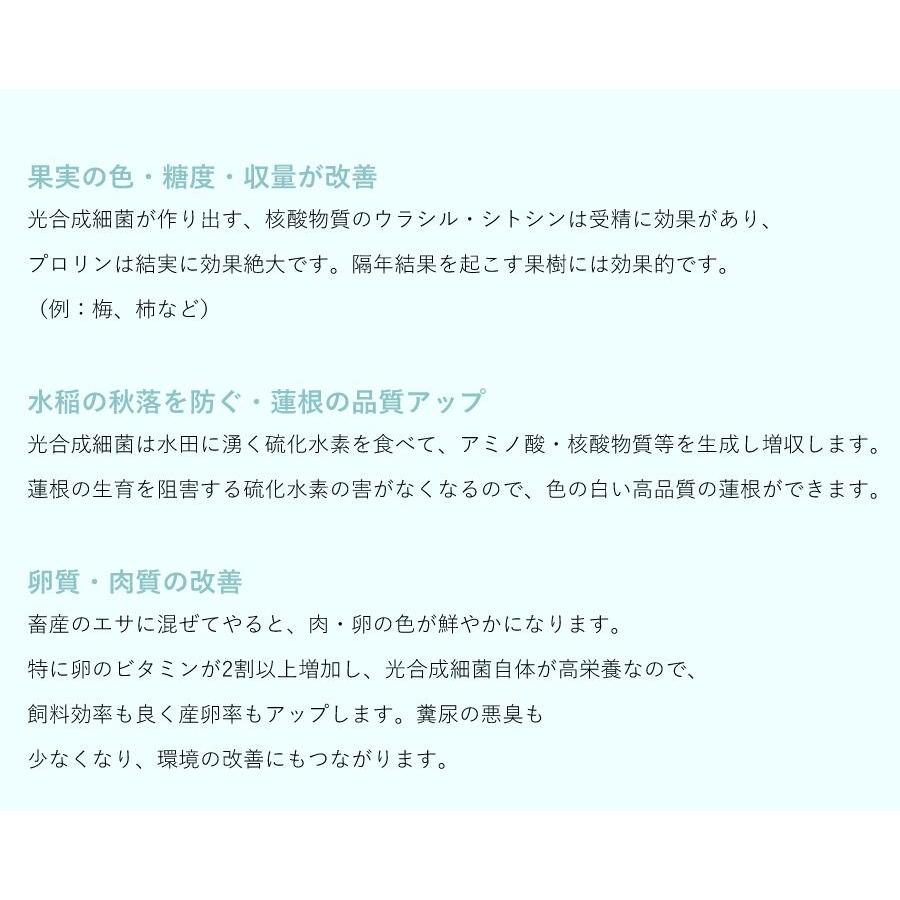 光合成細菌10L 培養セット沖縄、発送不可 PSB PNSB 培養 光合成細菌 培養資材 培養 バクテリア 基材 培地 培養基 農業 園芸 ガーデンニグ 畜産 牛 豚 鳥 鶏 |  | 04