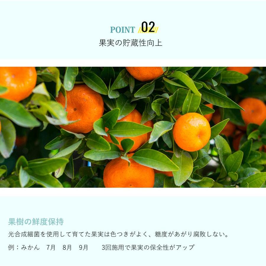 光合成細菌10L 培養セット沖縄、発送不可 PSB PNSB 培養 光合成細菌 培養資材 培養 バクテリア 基材 培地 培養基 農業 園芸 ガーデンニグ 畜産 牛 豚 鳥 鶏 |  | 05