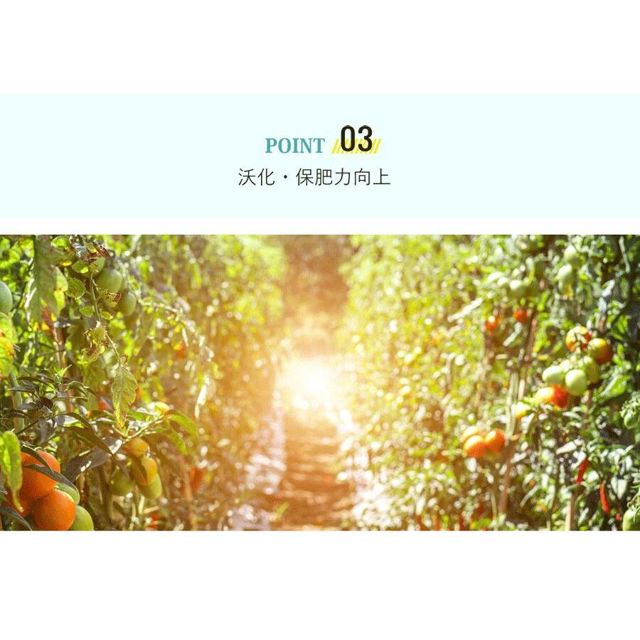 光合成細菌10L 培養セット沖縄、発送不可 PSB PNSB 培養 光合成細菌 培養資材 培養 バクテリア 基材 培地 培養基 農業 園芸 ガーデンニグ 畜産 牛 豚 鳥 鶏 |  | 06