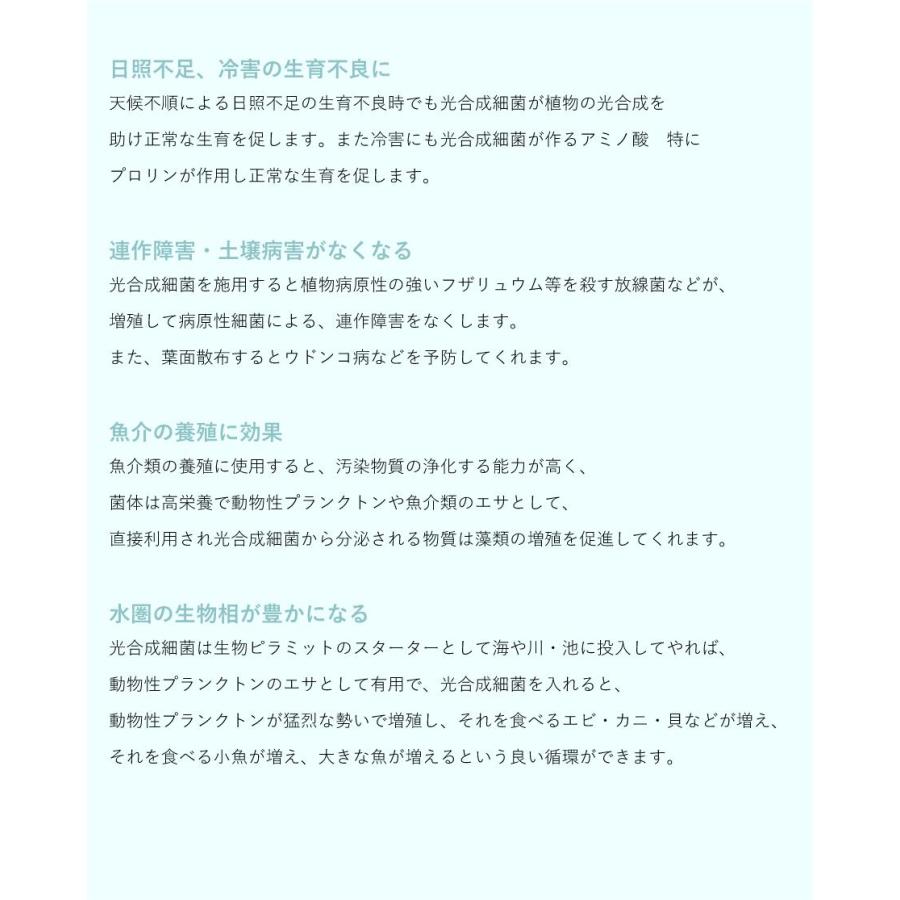 光合成細菌10L 培養セット沖縄、発送不可 PSB PNSB 培養 光合成細菌 培養資材 培養 バクテリア 基材 培地 培養基 農業 園芸 ガーデンニグ 畜産 牛 豚 鳥 鶏 |  | 07